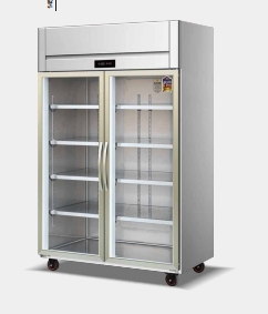 Wangpai B1 series two glass door display refrigerator